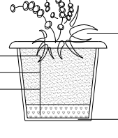 (图1) 6a400160c1742c31b38e34b335c15e80511f67c1.png